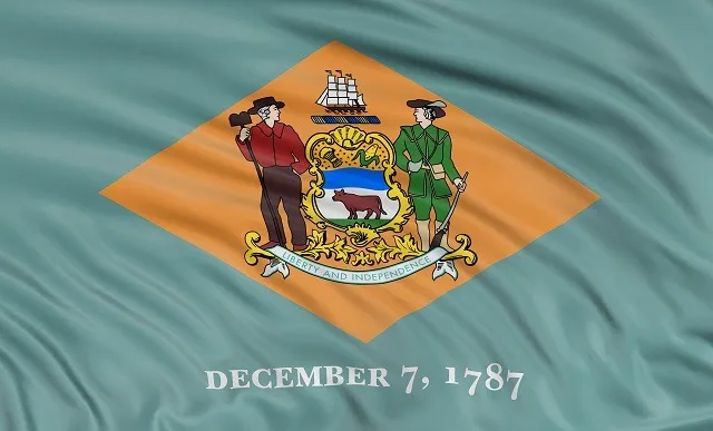 Delaware state flag