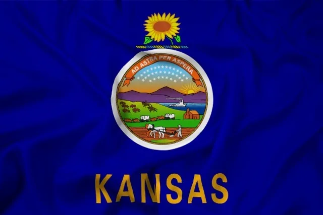 Kansas state flag