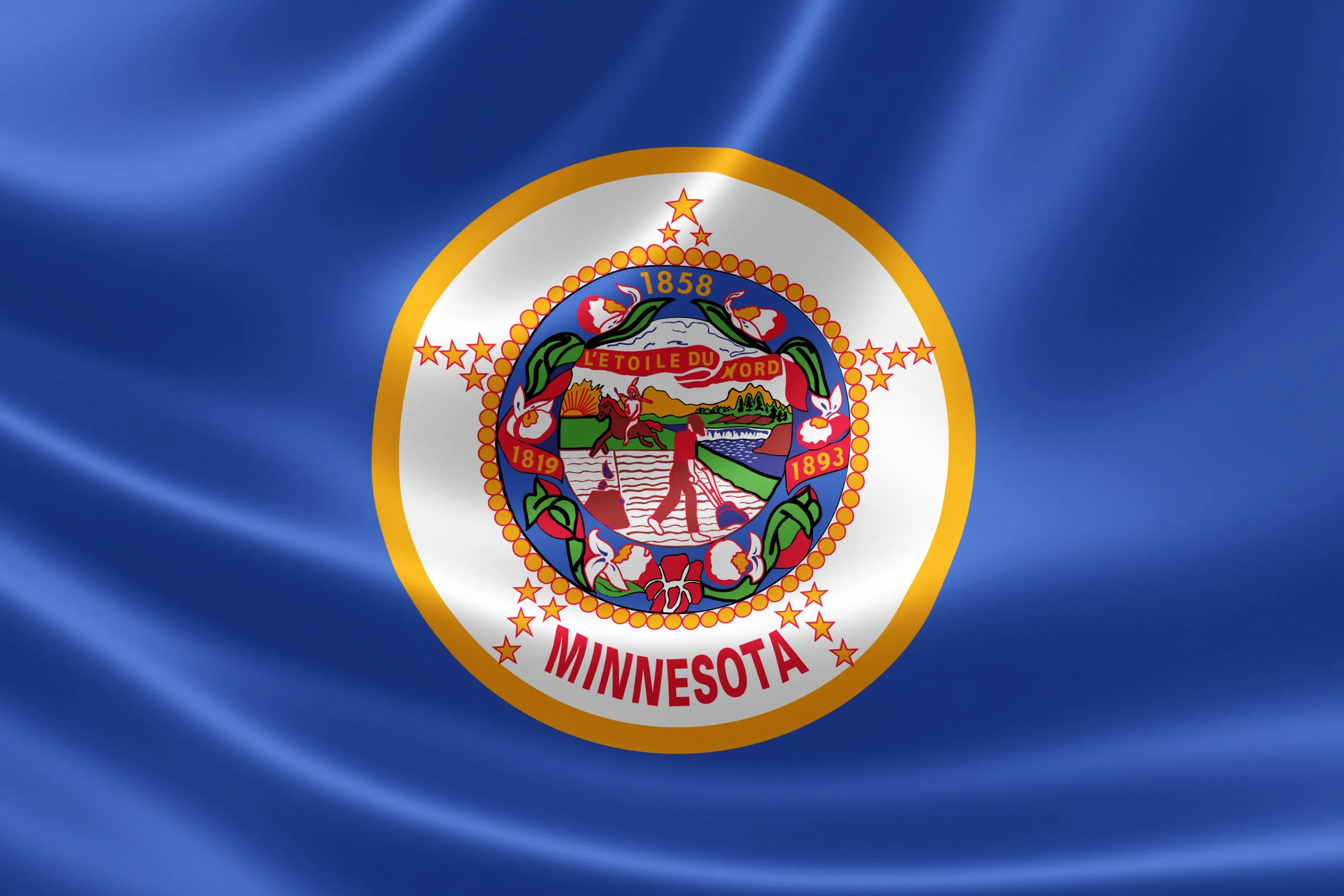 Minnesota state flag