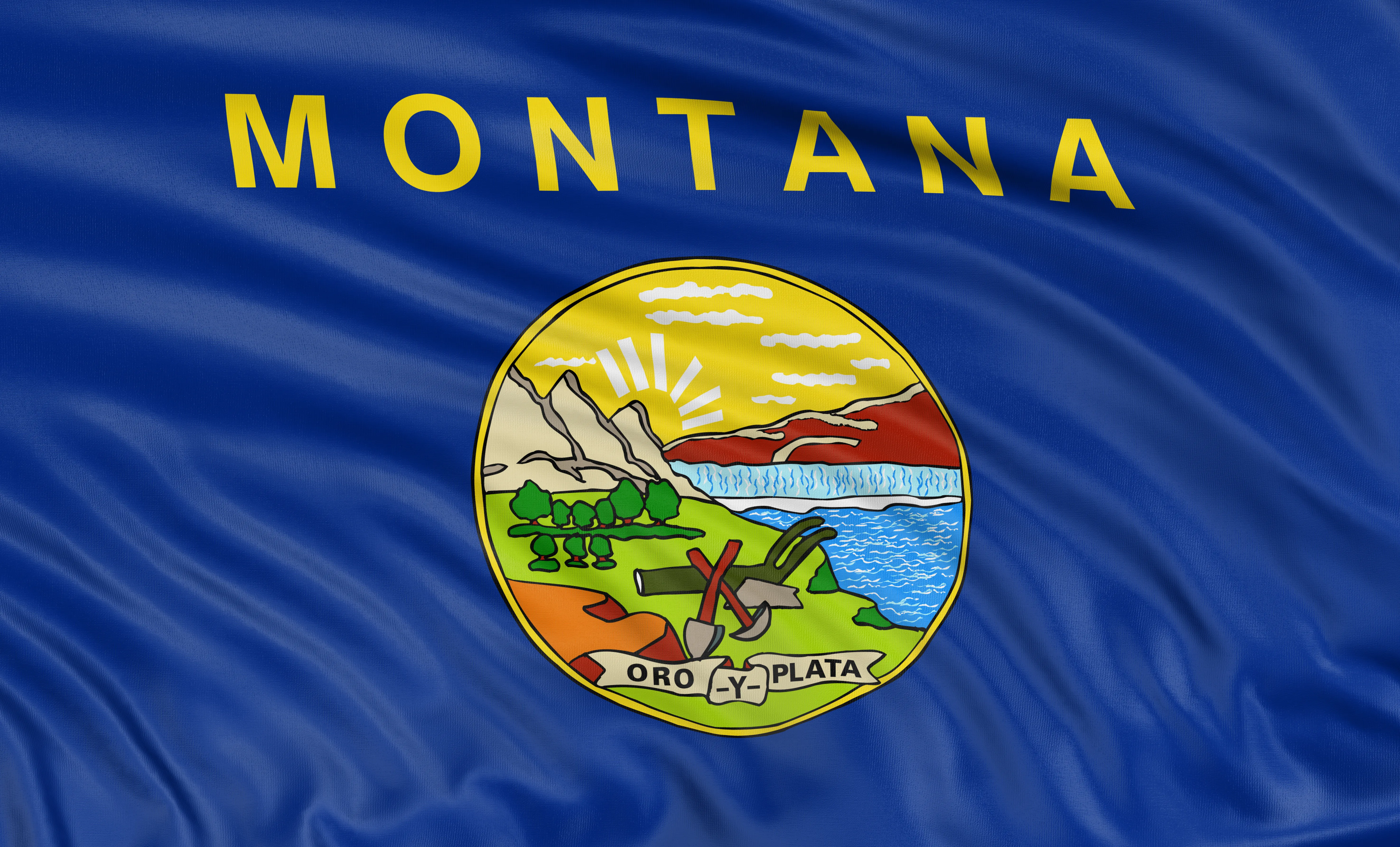Montana state flag