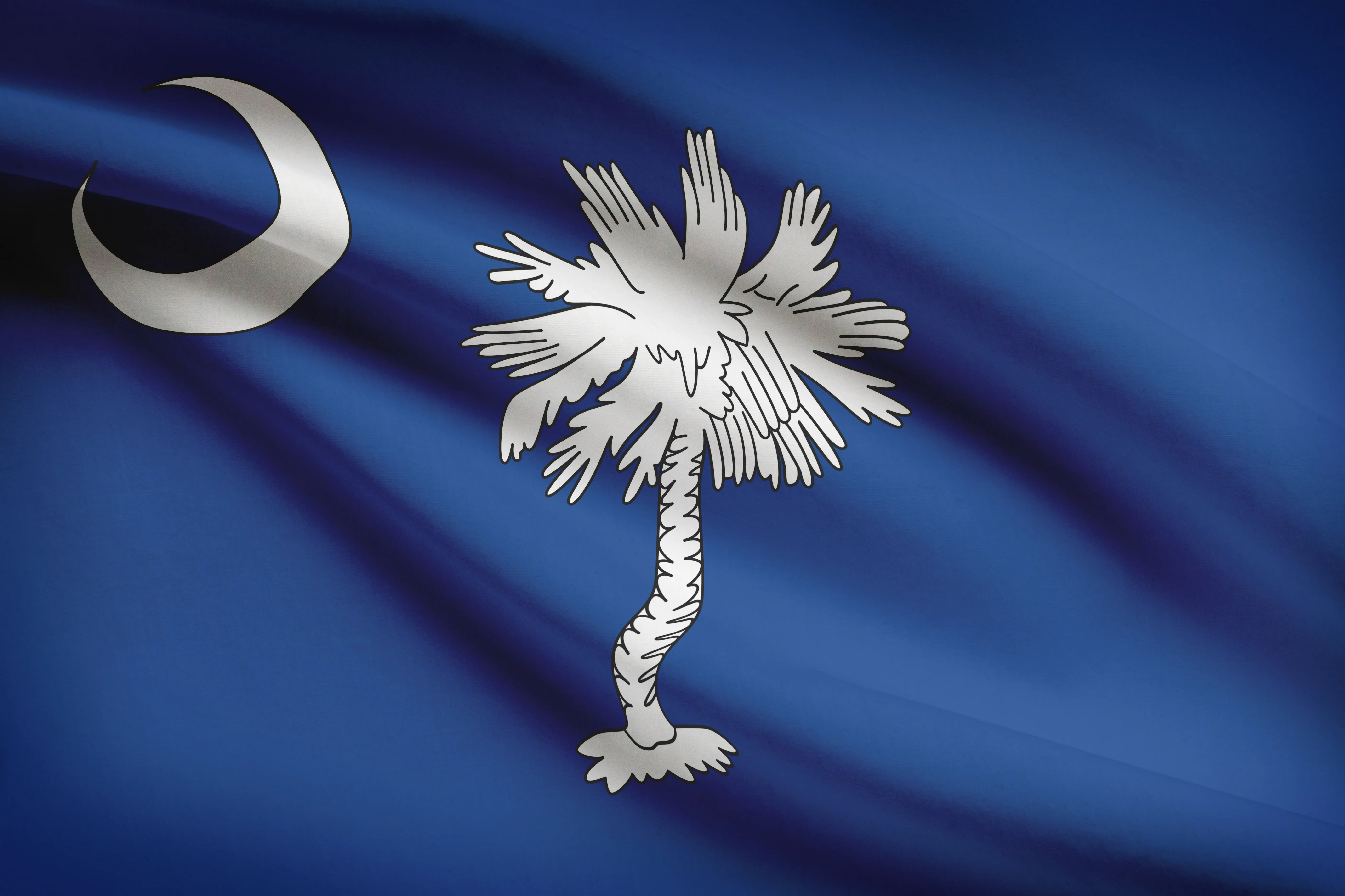 South Carolina state flag